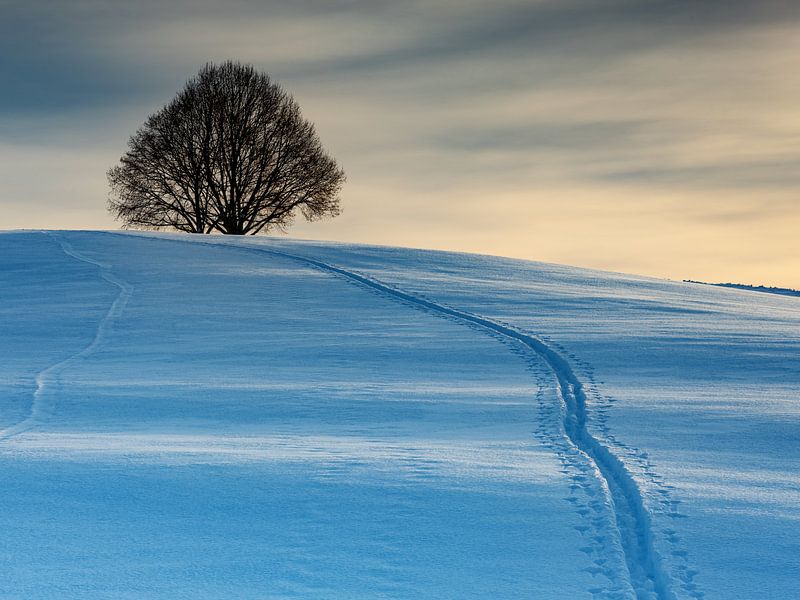 Winterse sfeer van Andreas Müller