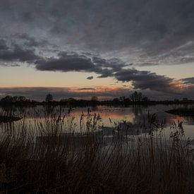 Les vasières de Korendijk sur Bart Hardorff