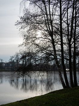 Silence - Romantischer Teich im Waldviertel