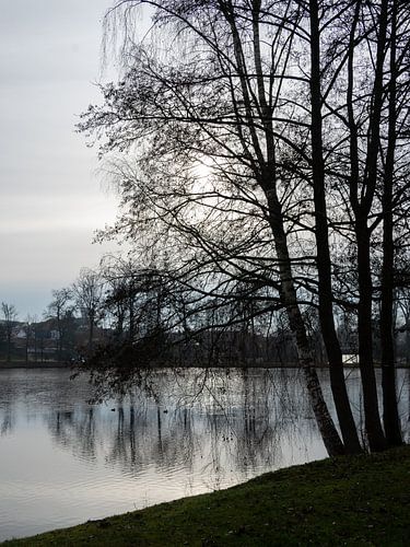 Silence - Romantic pond in the Waldviertel