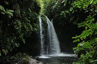 Waterfall on Dominica