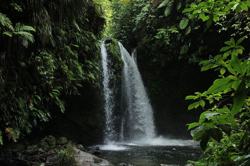 Waterfall on Dominica by Kristel Sturrus