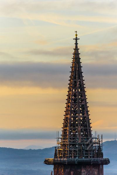 Germany, Minster of Freiburg im Breisgau at sunset by adventure-photos
