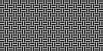 Permutatie | ID=10 | V=22 | 2:1 | 24x12 van Gerhard Haberern