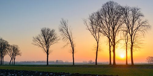 Zonsondergang tijdens een koude winterdag in de IJsseldelta