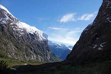 Cleddau Valley op weg naar Milford Sound in Nieuw Zeeland van Aagje de Jong