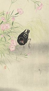 Moorhuhn an der blühenden Pflanze von Ohara Koson
