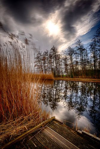 backlight by Ger Nielen