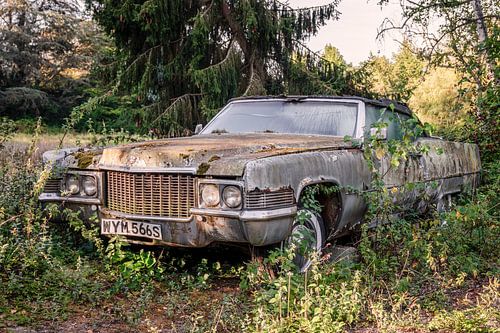 Vergessener Luxus im Wald – Vergessener Luxus im Wald – ein amerikanischer Klassiker im Dornröschenschlaf von Gentleman of Decay