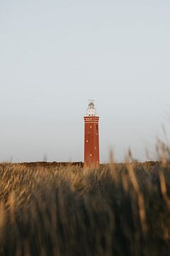 Winter beach walks #3