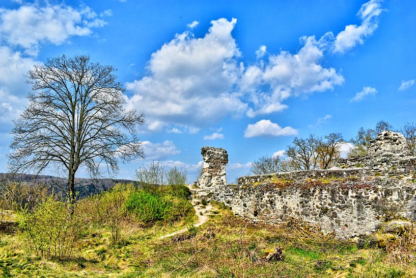 Burgruine Kallmünz von Roith Fotografie