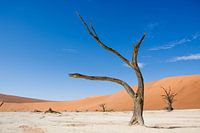 Deadvlei Namibia
