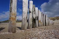 Zoutelande strand