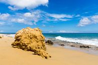 Porto Santo par Michel van Kooten Aperçu