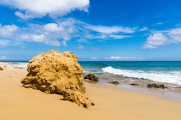 Porto Santo von Michel van Kooten