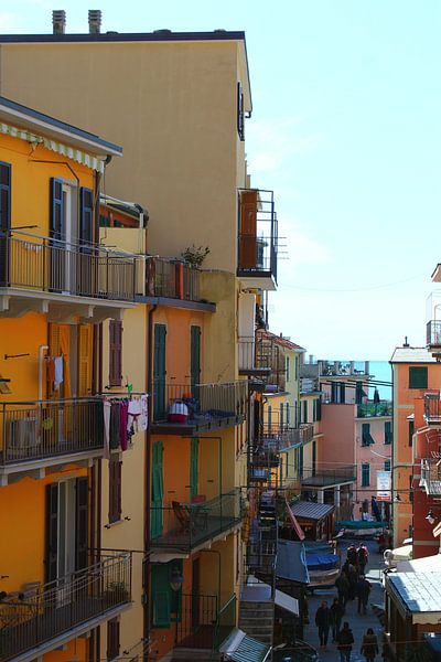 Belle rue avec des maisons colorées à Manarola, Cinque Terre, Italie par Shania Lam