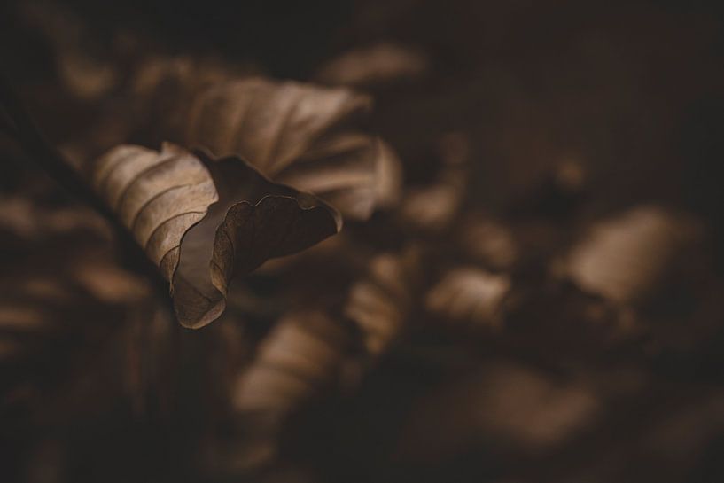 Komposition von Jonas Steinbrecher