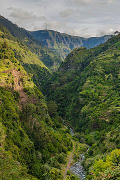 Madeira, PR7 (Levada do Moinho) van Nynke Altenburg