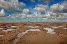 Oostkapelle beach by Lisette van Peenen