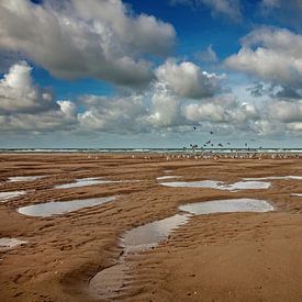 Strand Oostkapelle von Lisette van Peenen