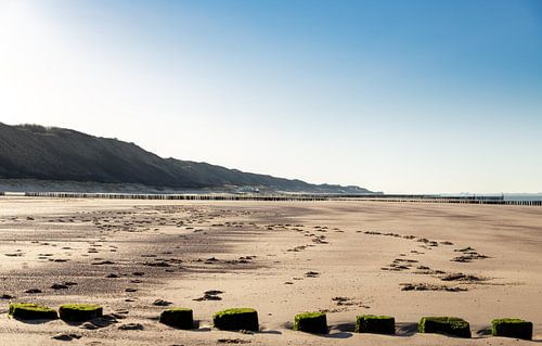 De topjes van de strandpalen
