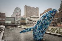 The Blue Whale