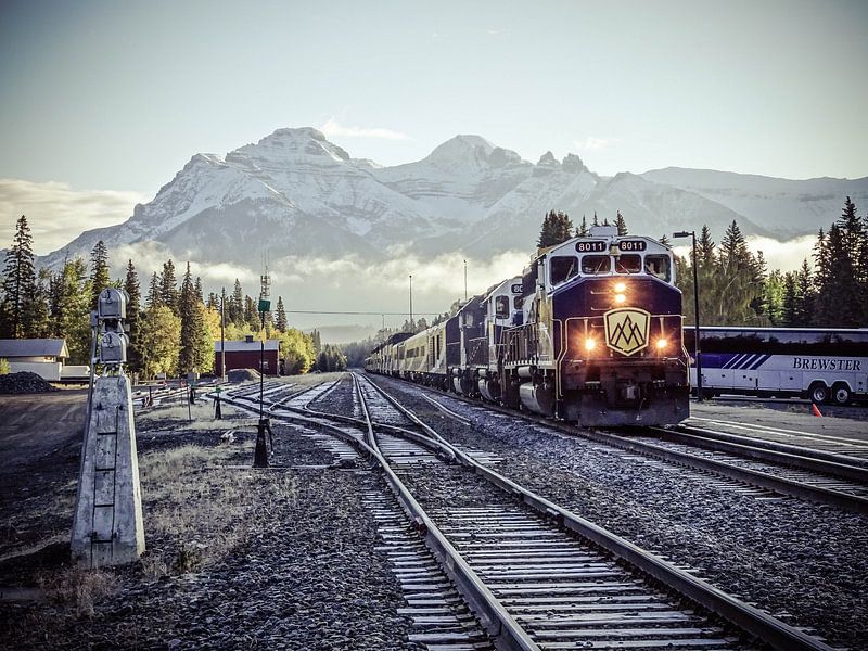 Rocky Mountaineer  by Linda van der Veer