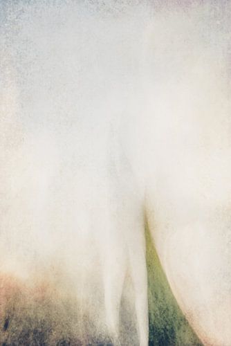 Minimalistische Kunstwerke von Bäumen