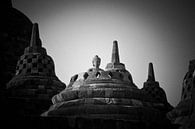 Indonesië - Borobudur van Wim Demortier thumbnail