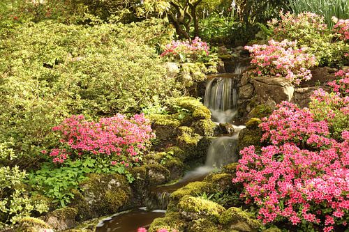 Stromend water in de Keukenhof.1