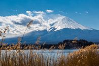 Mount Fuji in de winter van Peter Leenen thumbnail