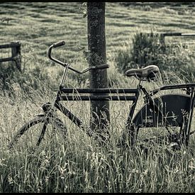 Fahrrad auf dem Bauernhof von Jackie Fotografie
