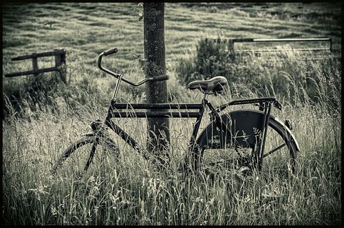 Fahrrad auf dem Bauernhof