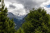 Uitzicht vanaf de Schafberg in Pontresina van Joel Layaa-Laulhé thumbnail