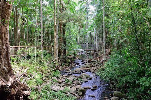 De kabbelende Martins Creek