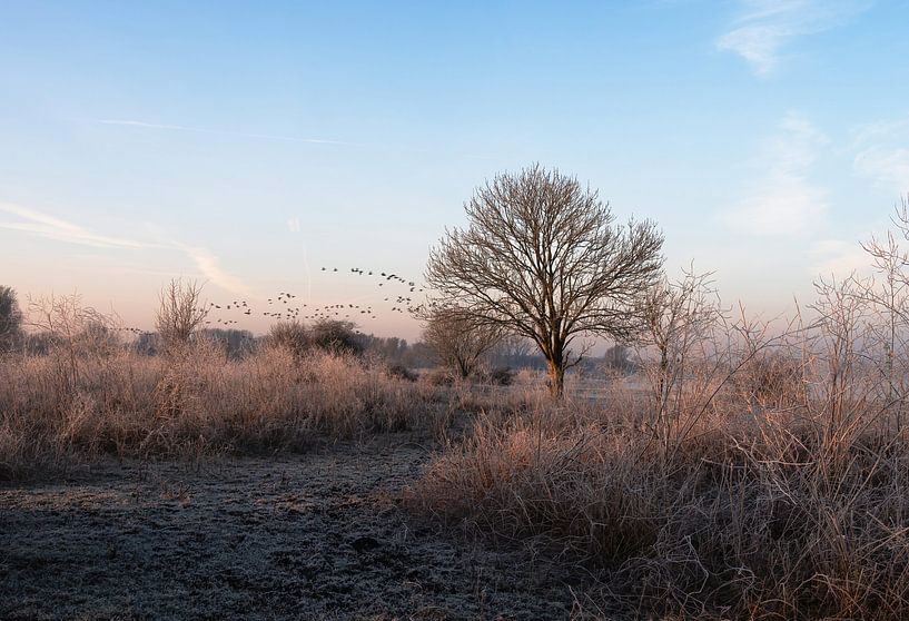 Meinerswijk part 84 by Tania Perneel