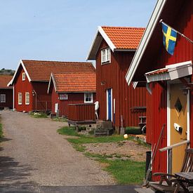 Colourful houses with Swedish flag by Helene Ketzer