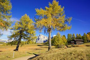 Herbst auf der Seiser Alm