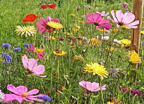 traitement numérique d'un parterre de fleurs