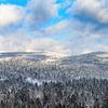 Winterlandschaft im Bayerischen Wald von Dirk Rüter