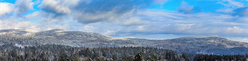 Winterlandschap in het Beierse Woud van Dirk Rüter