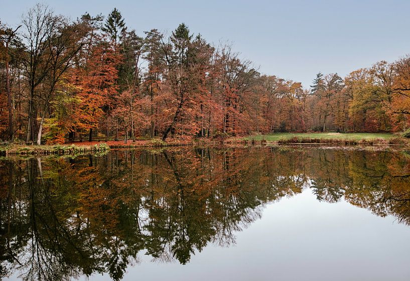 autumn colored forest with reflection in the lake in Holland during autumn by ChrisWillemsen