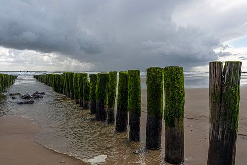 Strand von Liane Boddaert