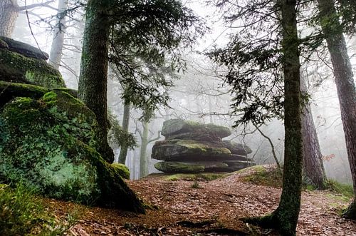 Ambiance brumeuse dans les Vosges au Mont Saint Odile