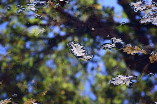 Herfstimpressies op Water