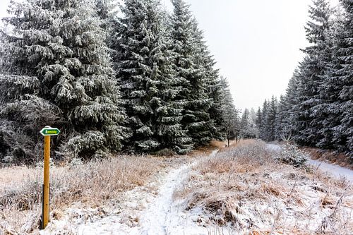 Prachtig winterlandschap op de hoogten van het Thüringer Wald