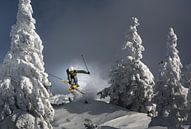 Ski is leven, Sandi Bertoncelj van 1x thumbnail
