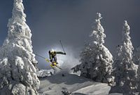 Ski ist das Leben, Sandi Bertoncelj