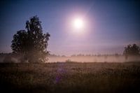 Veluwe bij volle maan, mistige heide bij ermelo, groevenbeek