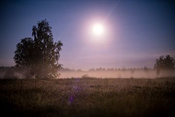 Veluwe bij volle maan, mistige heide bij ermelo, groevenbeek van John Ozguc